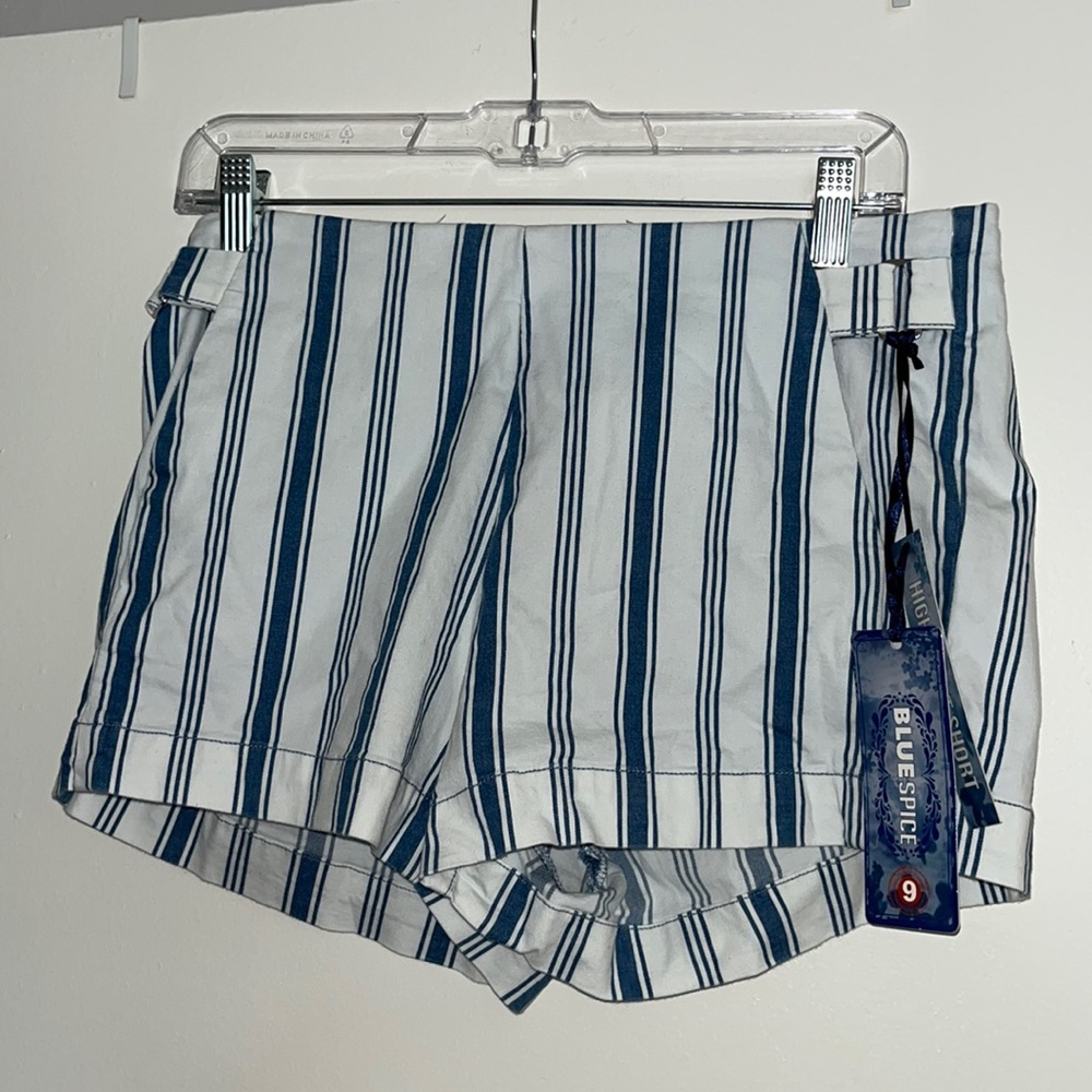 Blue Spice Shorts